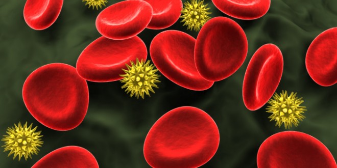 Les protéines du système immunitaire de l'homme peuvent supprimer le VIH